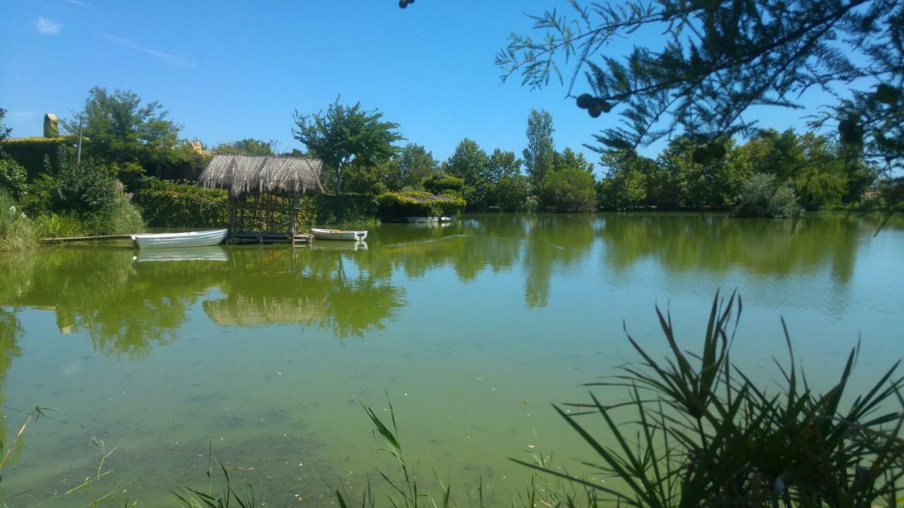 Yeguada Senillosa - *